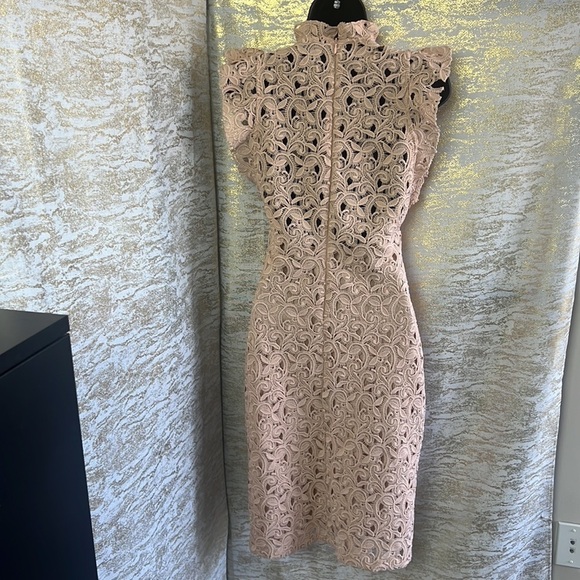 Zara Women’s Blush Pink Guipure Lace Knee Length Dress Size S - Picture 10 of 17